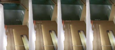 番号200810202027130：骚浪探花激情实录